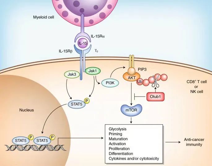 0117ÍøÕ¾Í¼1.jpg 0117ÍøÕ¾Í¼1.jpg